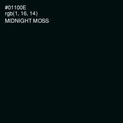 #01100E - Midnight Moss Color Image
